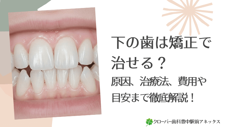 下の歯は矯正で治せる？原因、治療法、費用や目安まで徹底解説！