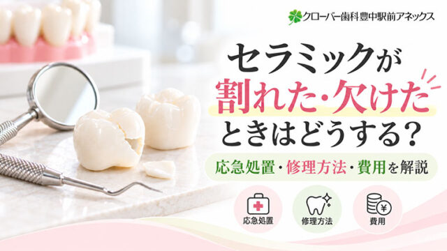 セラミックが割れた・欠けたときはどうする？応急処置・修理方法・費用を解説