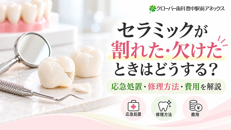 セラミックが割れた・欠けたときはどうする？応急処置・修理方法・費用を解説